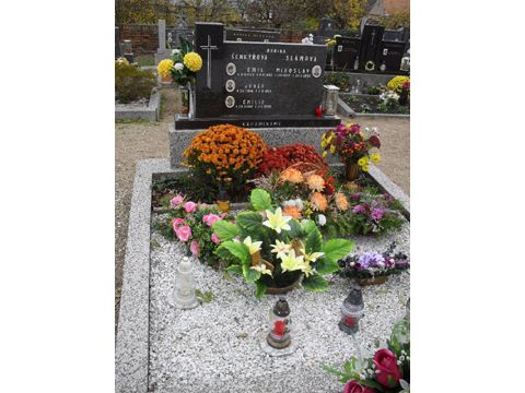 Foto 2